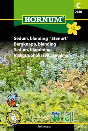 sedum-mix-stenrt-1