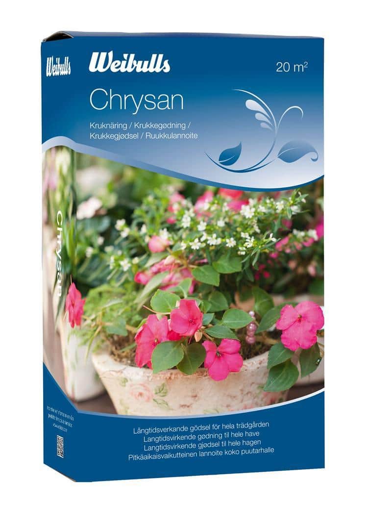 chrysan-mjl-1-kg-1