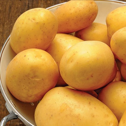 sttpotatis---marabel-1kg-rets-potatis-2022-1