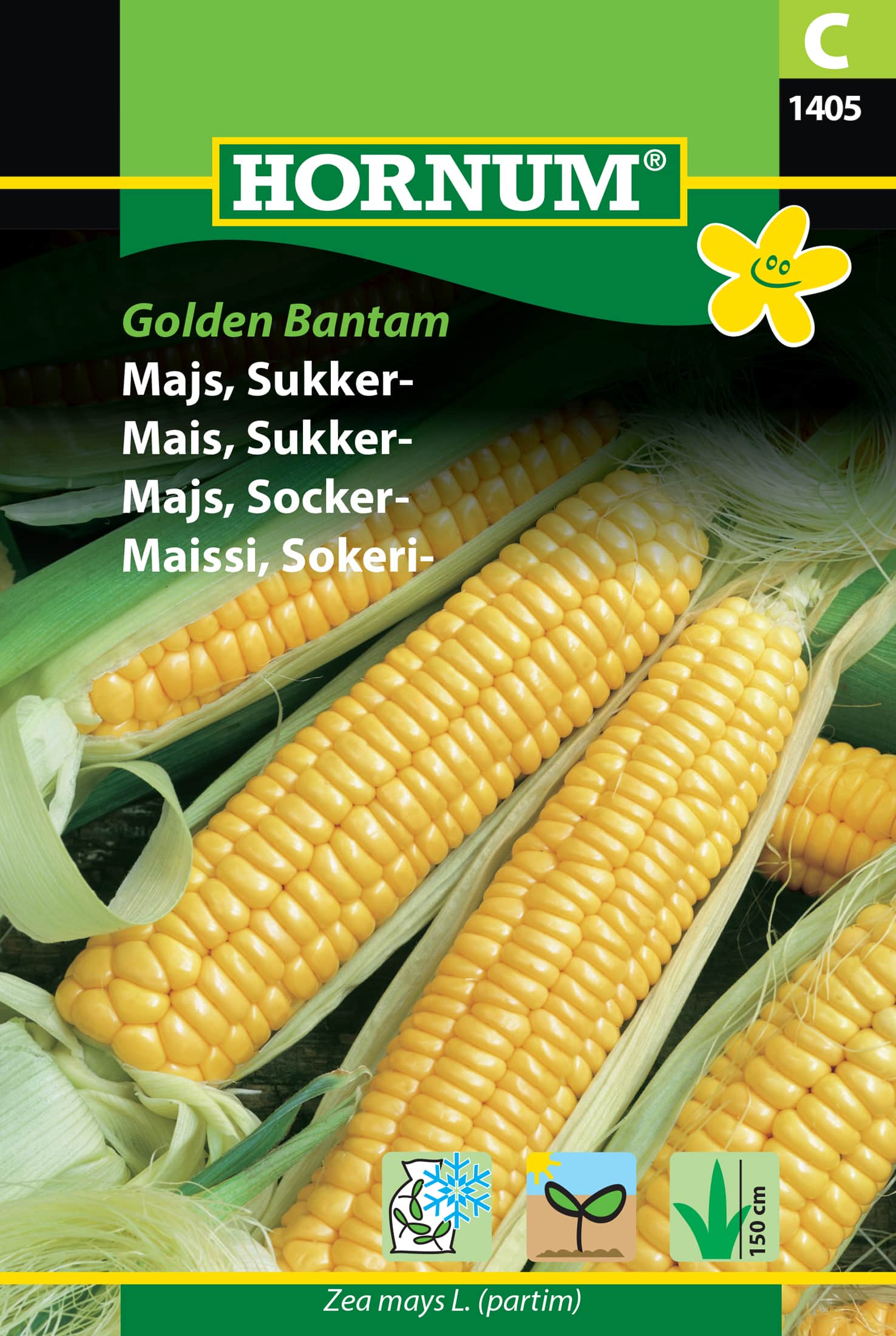 sockermajs-golden-bantam-fr-1
