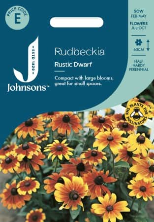 sommarrudbeckia-rustic-dwarf-1