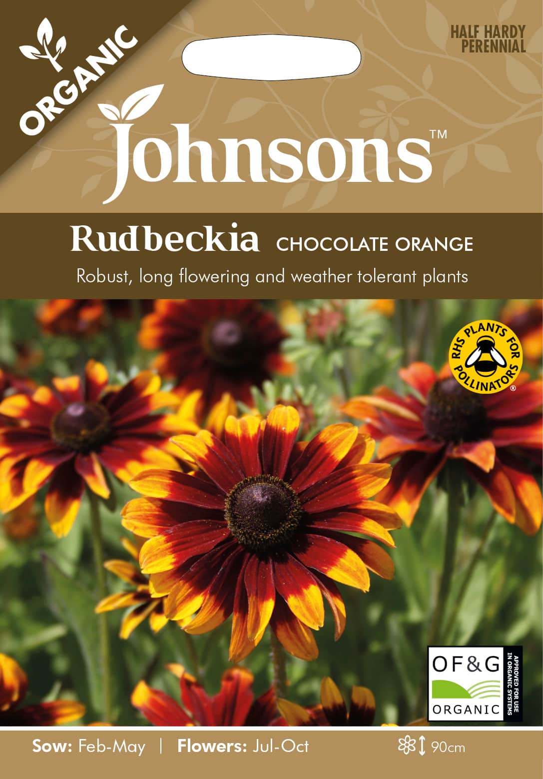 rudbeckia-chocolate-orange-organic-1