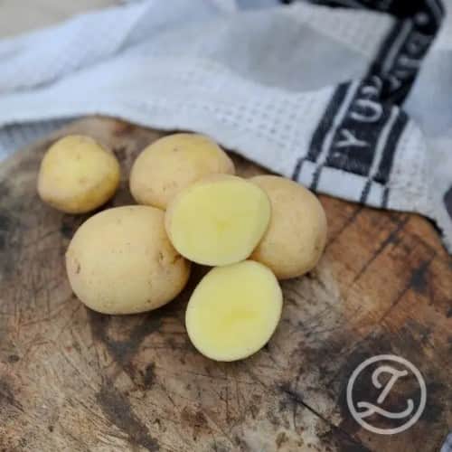 sttpotatis---allison-1kg-1