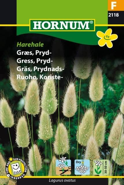 prydnadsgrs-harsvans-1