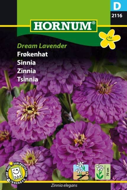 zinnia-dream-lavender-1
