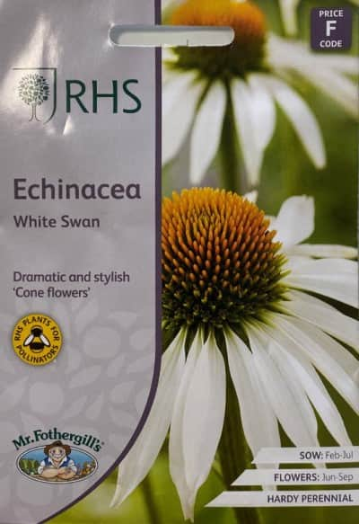 rhs-rudbeckia-white-swan-1