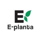 jordgubbe-honeoye-jumboplugg-3