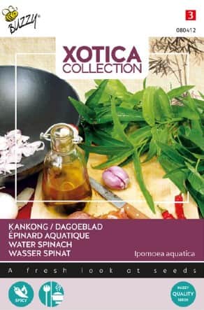 vattenspenat-kankong-1