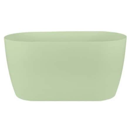 brussels-orchid-duo-25cm-soft-green-1