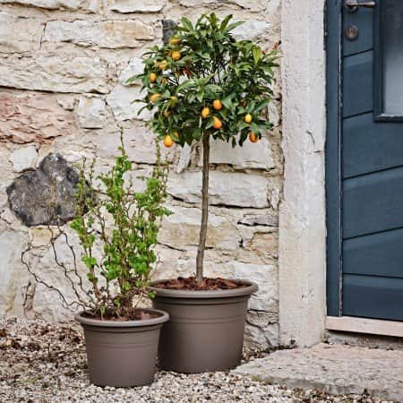 kruka-basic-round-d25cm-ash-2