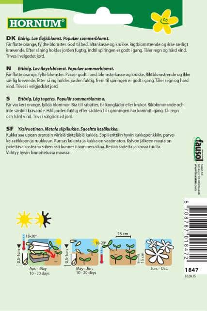 sammetsagetes-orange-boy-2