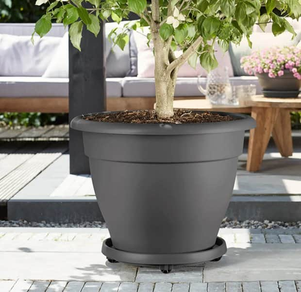 planttaxi-fat-med-hjul-35cm-anthracite-2