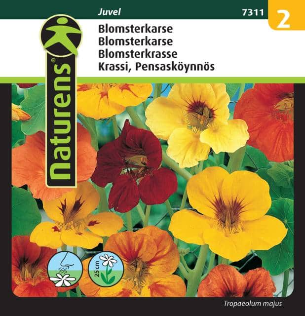 blomsterkrasse-mix-juvel-fr-1