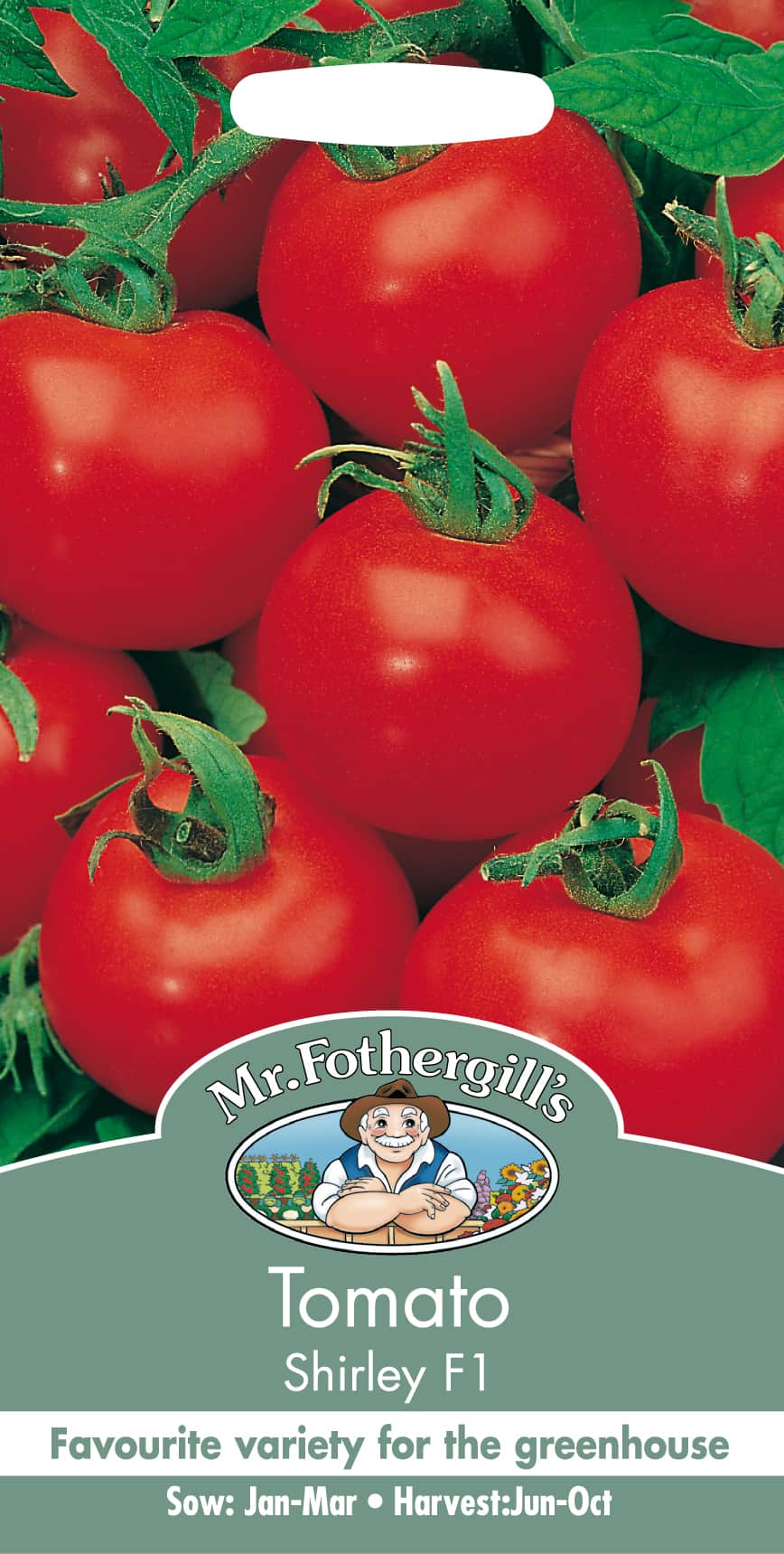 tomat-shirley-f1-1