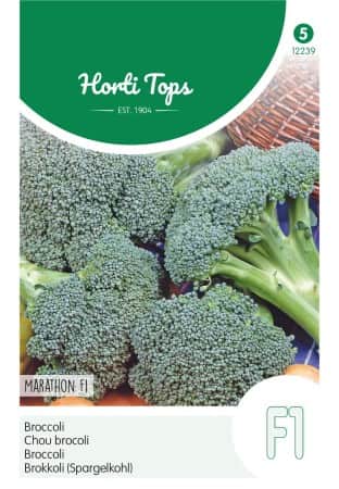 broccoli-spello-f1-1