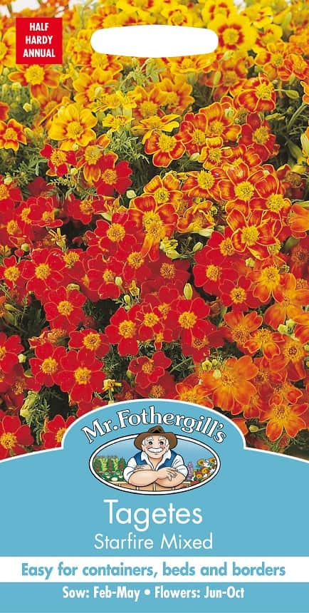 liten-tagetes-starfire-mix-fr-1