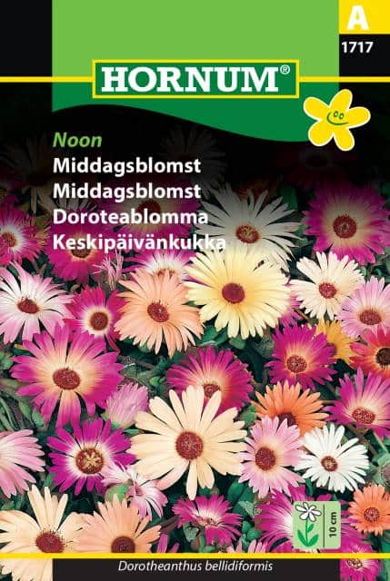 doroteablomma-mix-noon-1