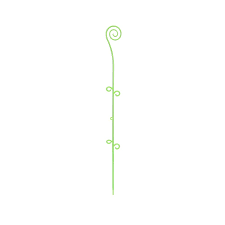 orchideco-twist-lime-1