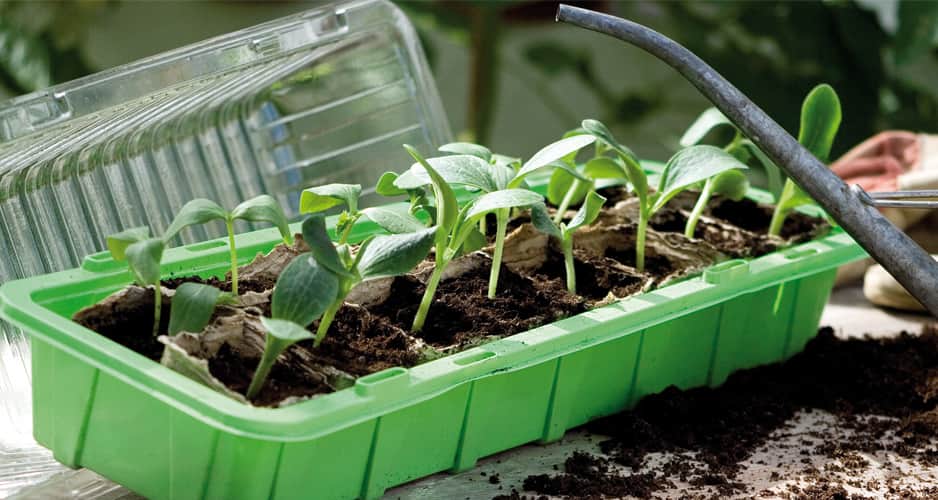 minidrivhus-window-47x16cm-2