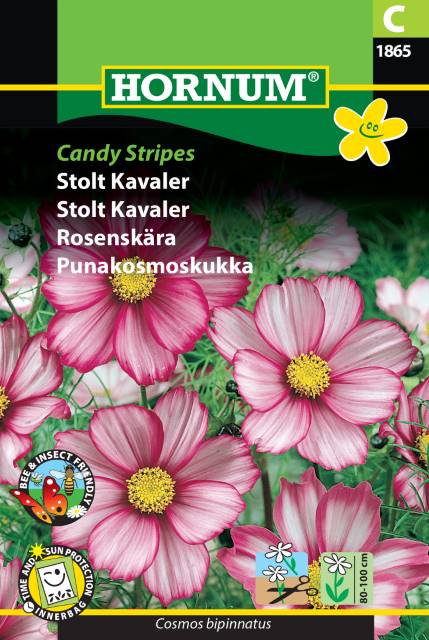 Rosenskära ’Candy Stripes’ frö