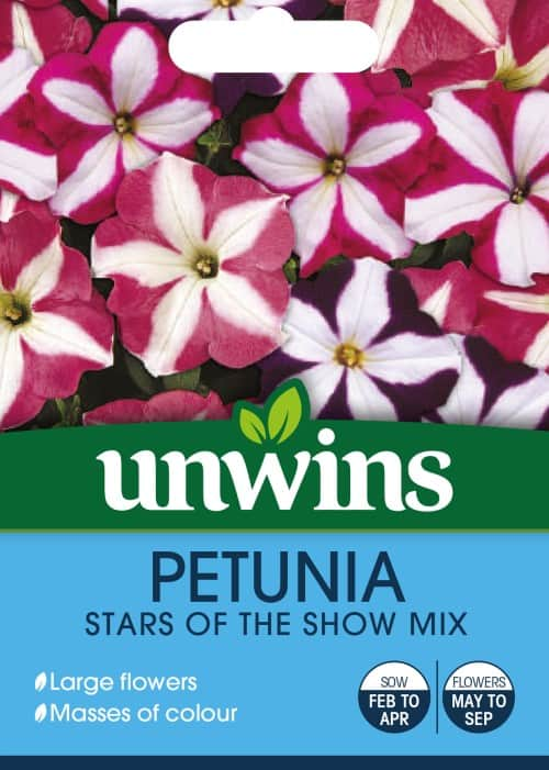 petunia-stars-of-the-show-mix-1