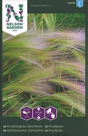 prydnadsgrs-ekorrkorn-1