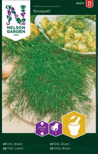 dill-bouquet-1