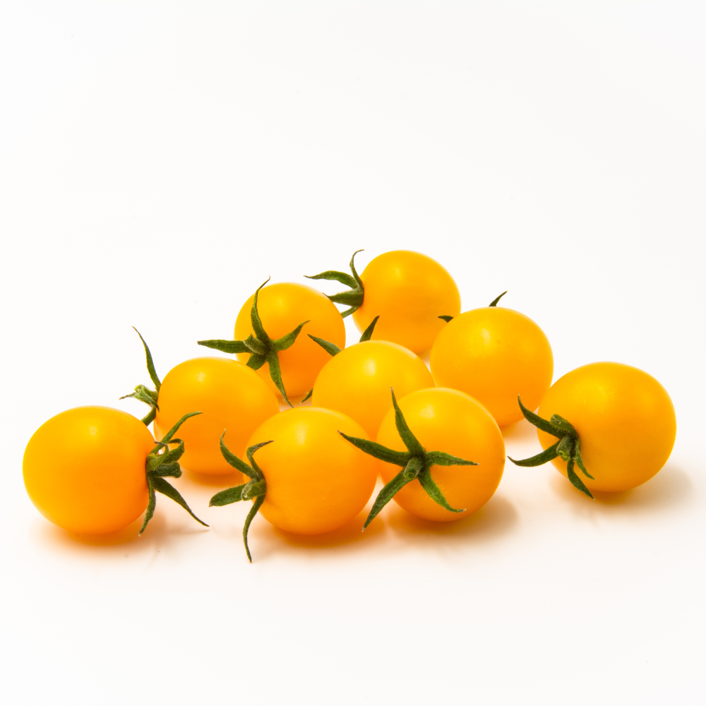 tomat-mini-on-105cm-kruka-2