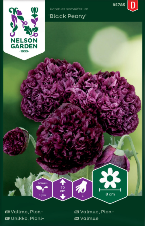pionvallmo-black-peony-fr-1
