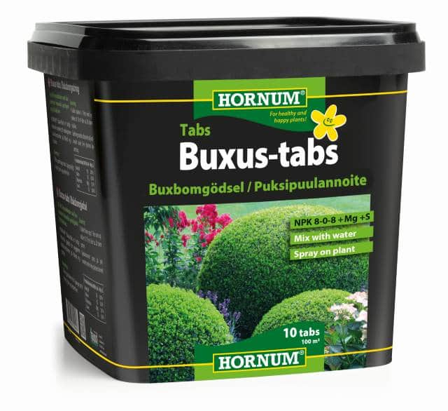 hornum-buxbomgdning-1