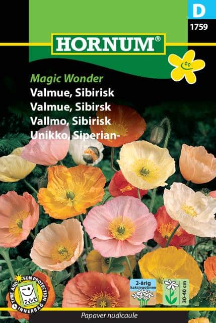 sibirisk-vallmo-magic-wonder-fr-1