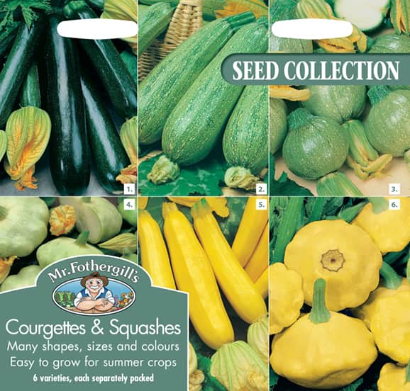 squash-och-zucchini-collection-6-sorter-1