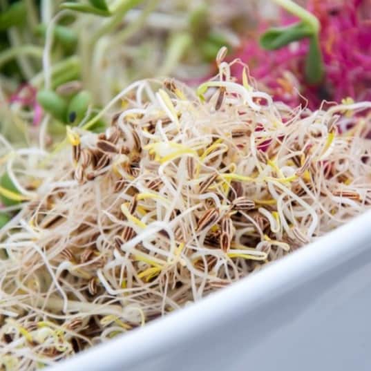 sproutly-eko-fnklsfrn-80g-2