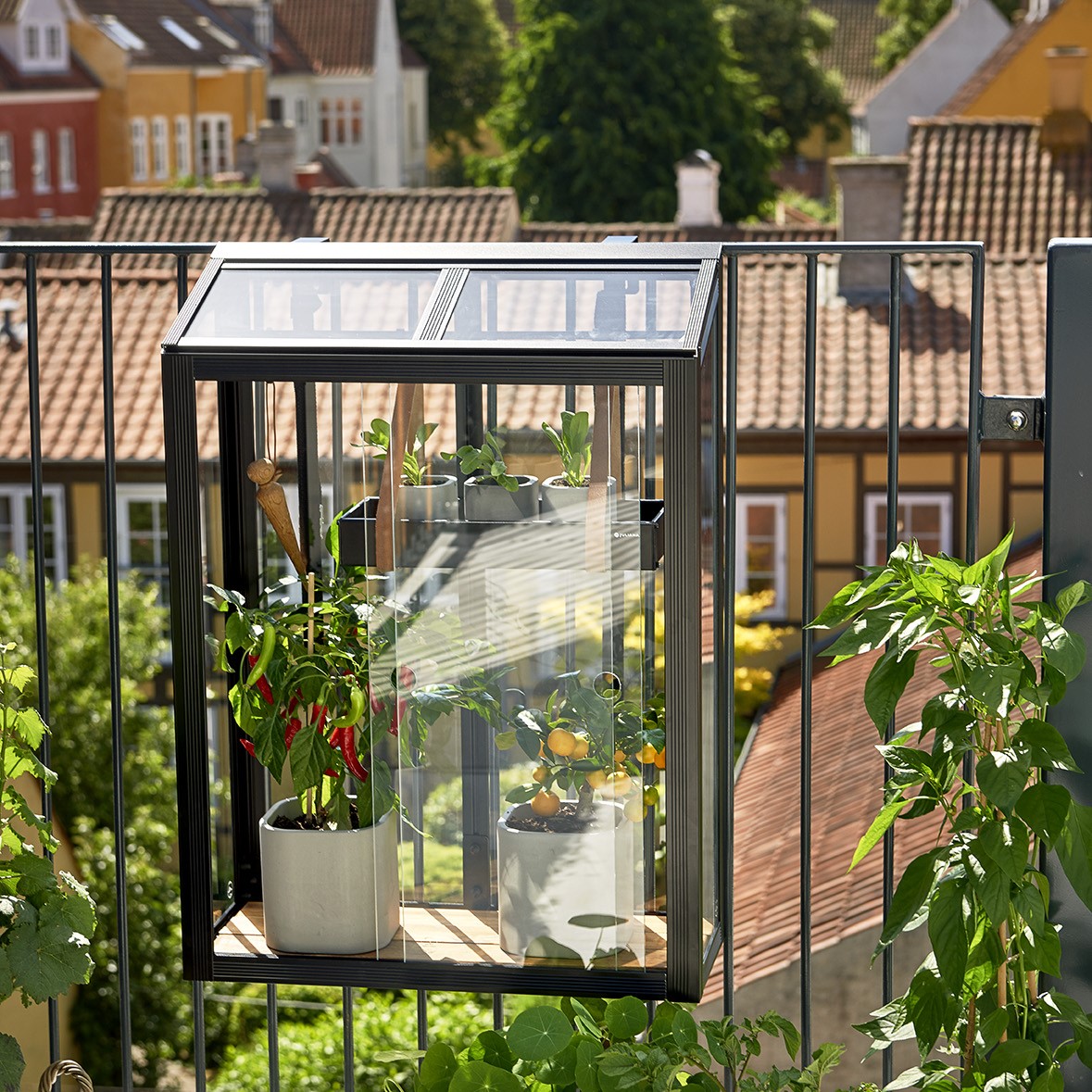 Odlingsskåp ’Balcony’ Härdat glas