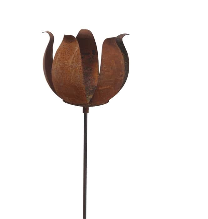 marschallhllare-p-pinne-ros-2