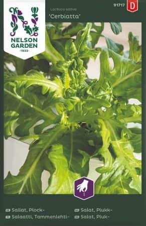 plocksallat-cerbiatta-1