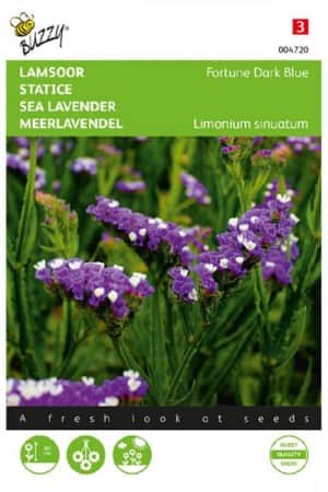 blrisp-fortune-dark-blue-1