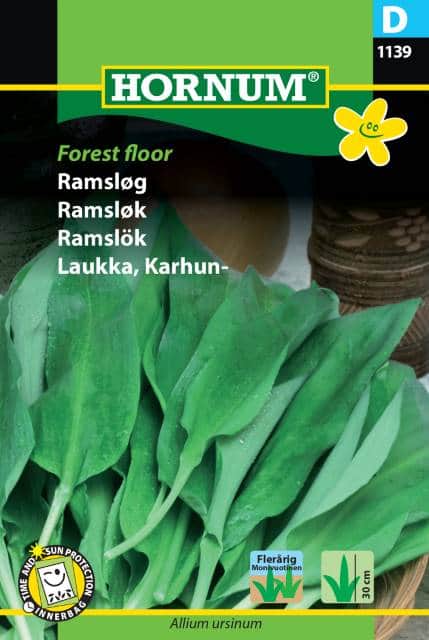 ramslk-forest-floor-1