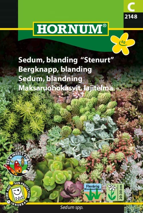 sedum-mix-stenrt-1