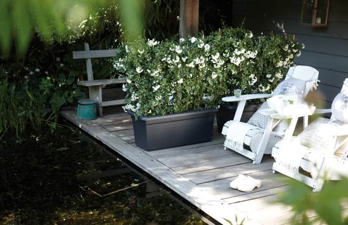 green-basics-garden-xxl-60cm-living-black-2