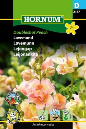 lejongap-doubleshot-peach-1