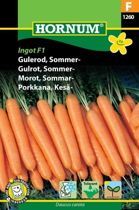 sommarmorot-ingot-f1-1