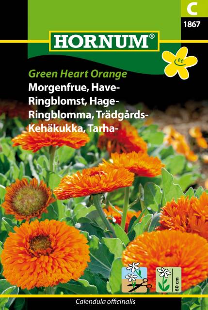 Ringblomma ’Green Heart Orange’ frö