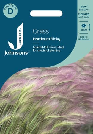 prydnadsgrs-ekorrkorn-ricky-1