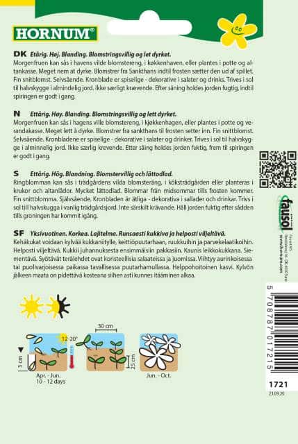 ringblomma-mix-citrus-2