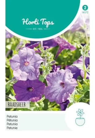 petunia-raadsheer-1