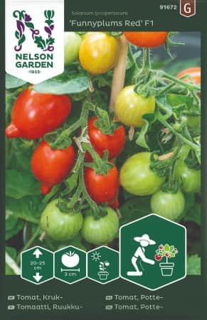 kruktomat-funnyplums-red-f1-1