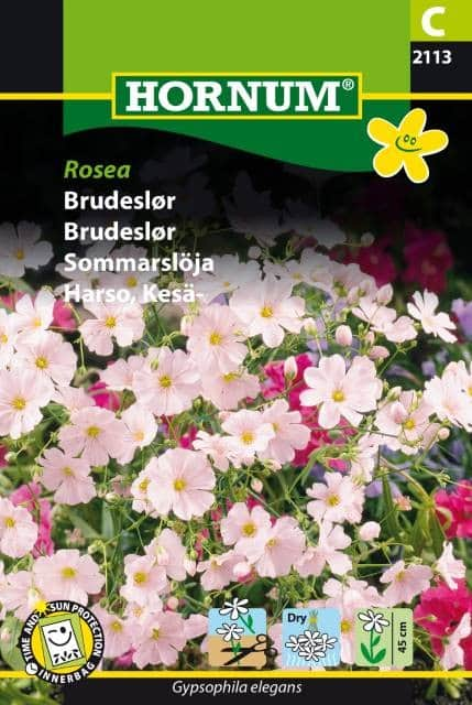 brudslja-rosea-1