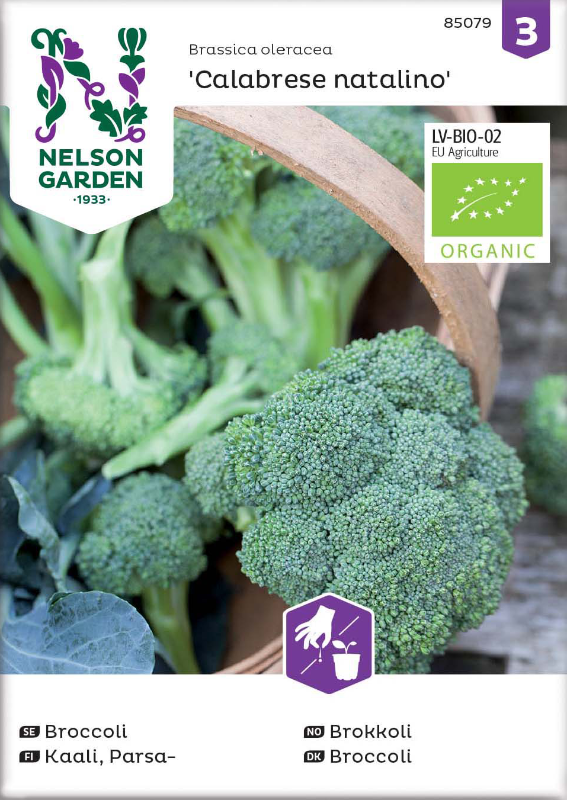 broccoli-calabrese-natalino-organic-fr-1