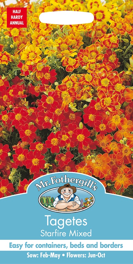 Liten tagetes ’Starfire’ mix, frö